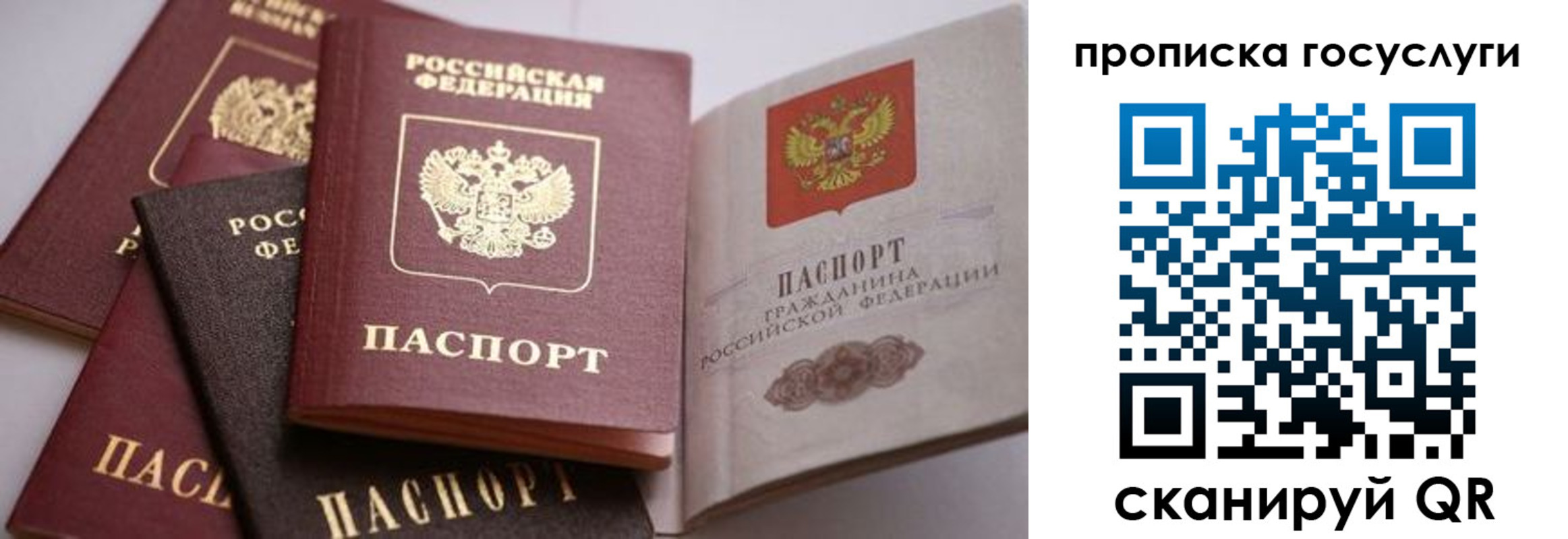 прописка иностранных граждан в Дрезне